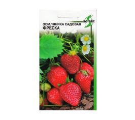 Семена