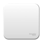 Выключатель 1-кл. ОП Blanca 6A  IP20 (сх.1) 250В бел. SE BLNVA061001